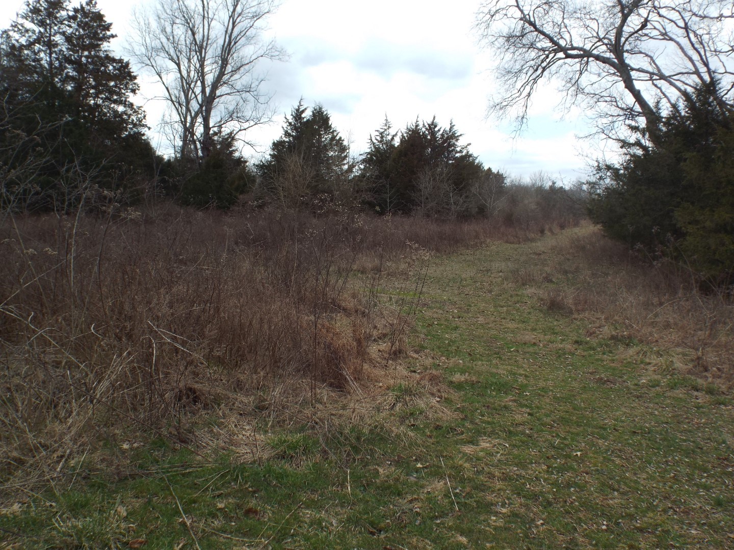 6294 Snail Shell Cave Road Rockvale, TN 37153 - Photo 20 of 26