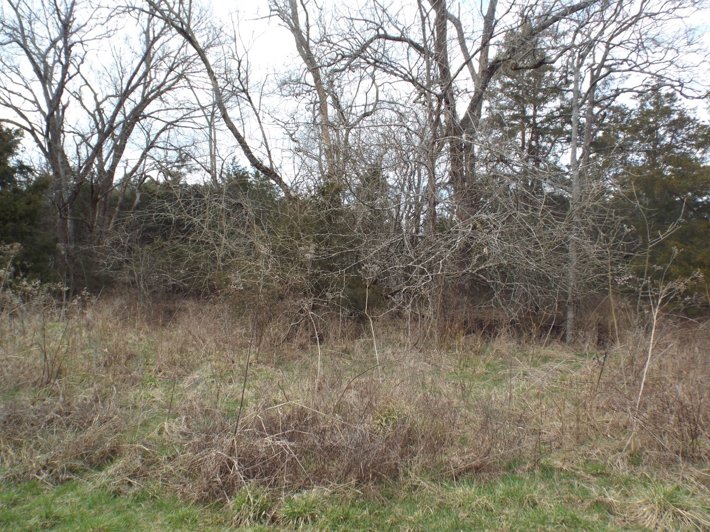 6294 Snail Shell Cave Road Rockvale, TN 37153 - Photo 21 of 26