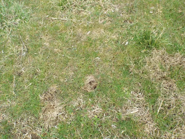 $2,750,000 | 6294 Snail Shell Cave Road, Rockvale, TN 37153