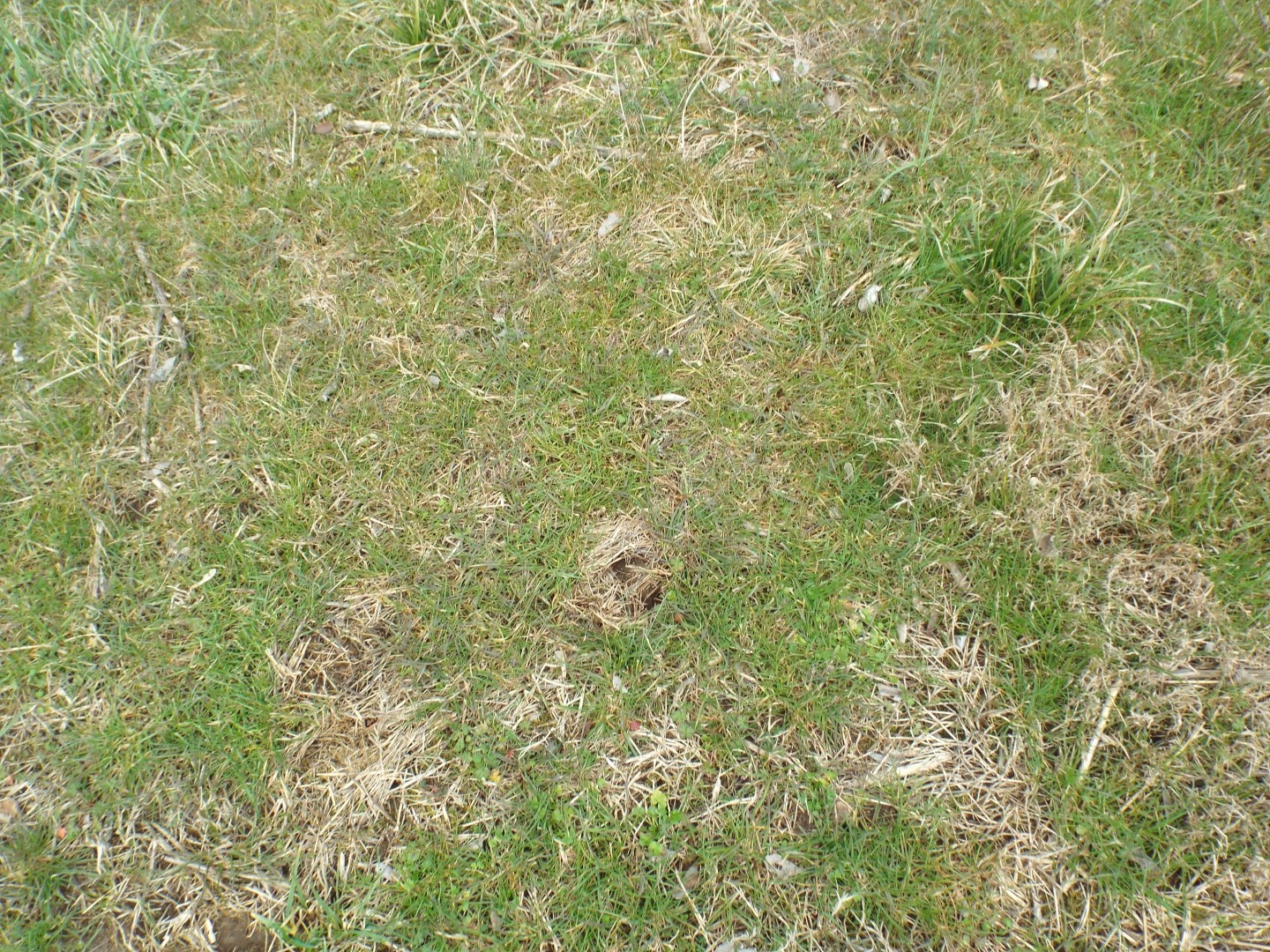 6294 Snail Shell Cave Road Rockvale, TN 37153 - Photo 23 of 26