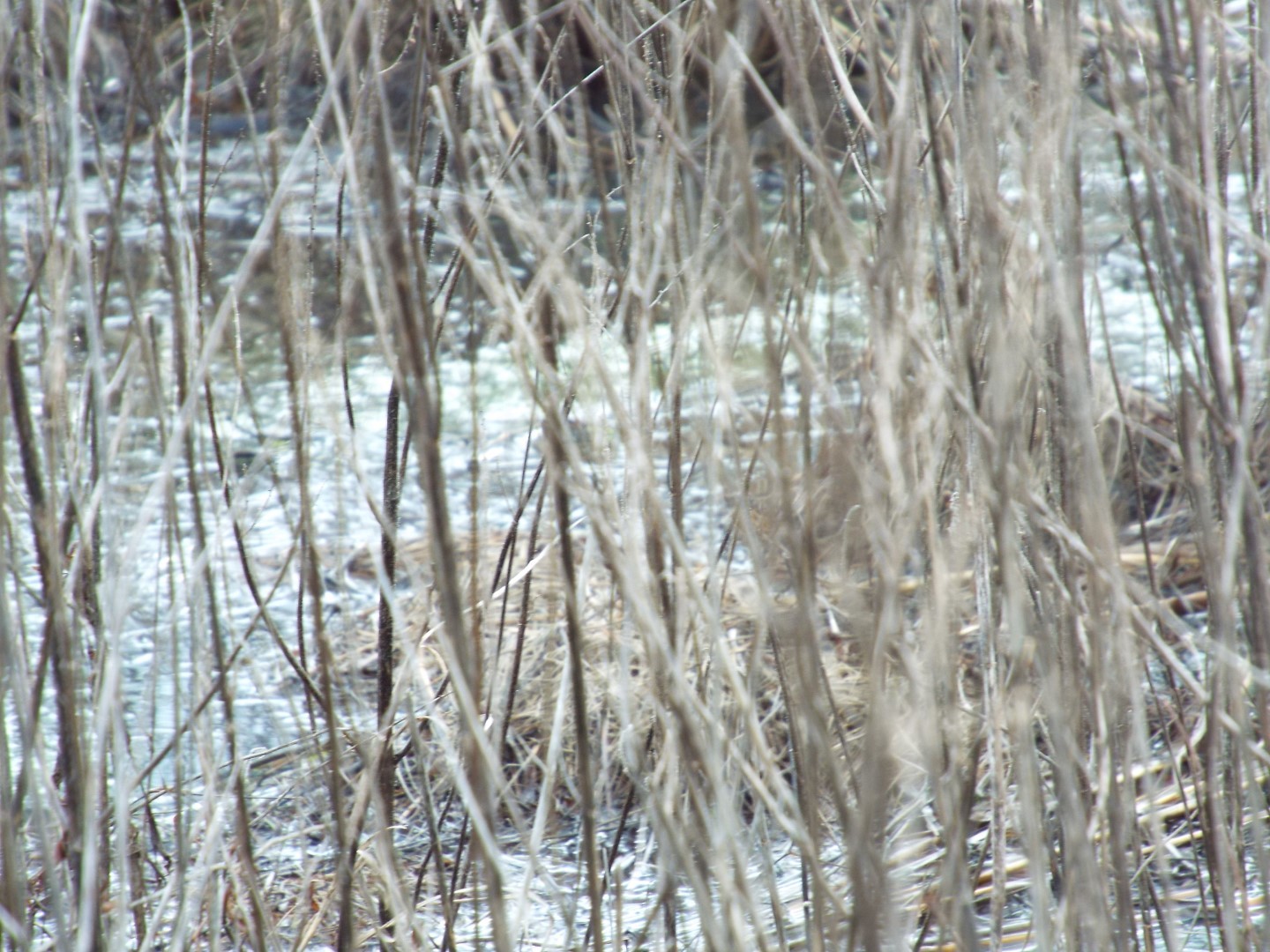 6294 Snail Shell Cave Road Rockvale, TN 37153 - Photo 25 of 26