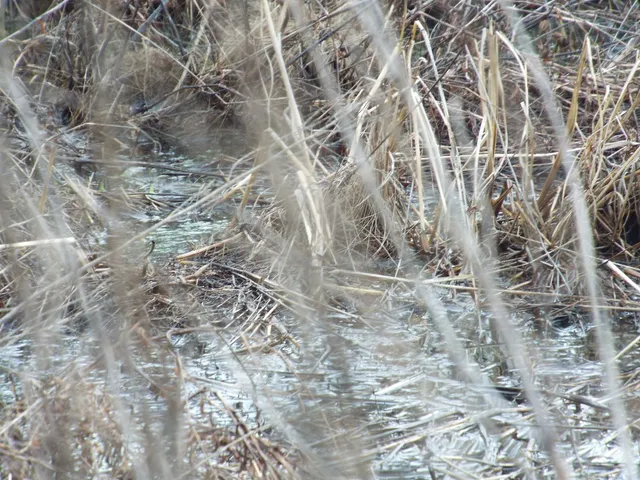 $2,750,000 | 6294 Snail Shell Cave Road, Rockvale, TN 37153