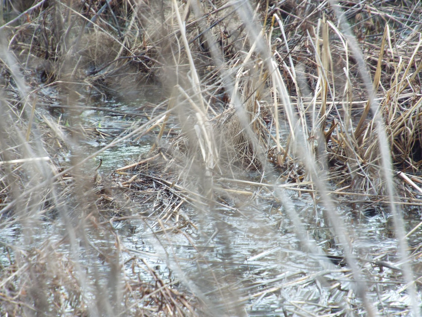 6294 Snail Shell Cave Road Rockvale, TN 37153 - Photo 26 of 26