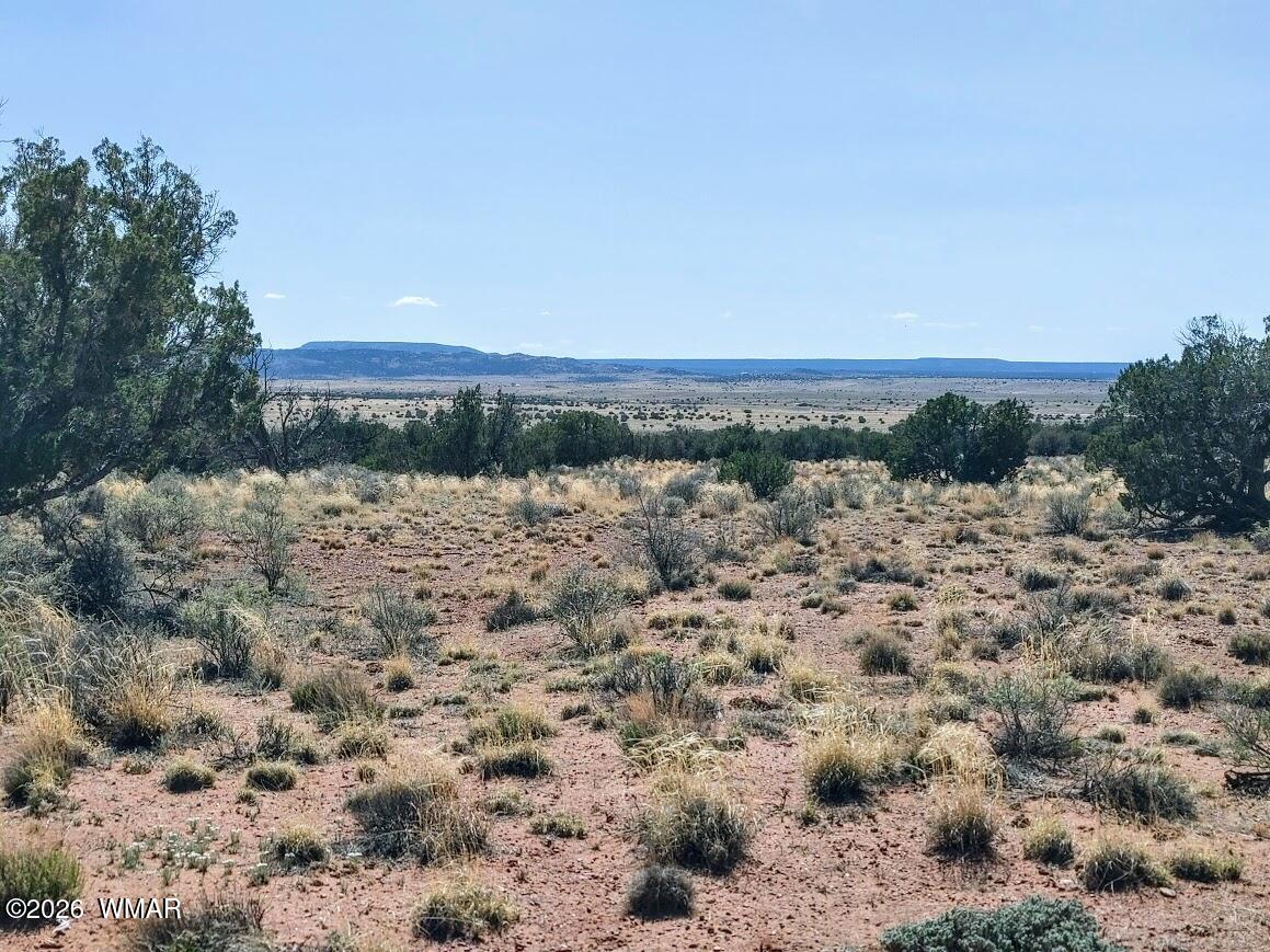 Lot 222 Woodridge Ranch Concho, AZ 85924 - Photo 1 of 14 a view of a lake with mountains in the background