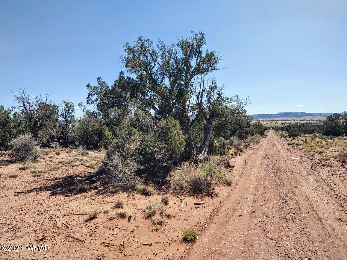 Lot 222 Woodridge Ranch Concho, AZ 85924 - Photo 13 of 14 a view of a snow on the beach