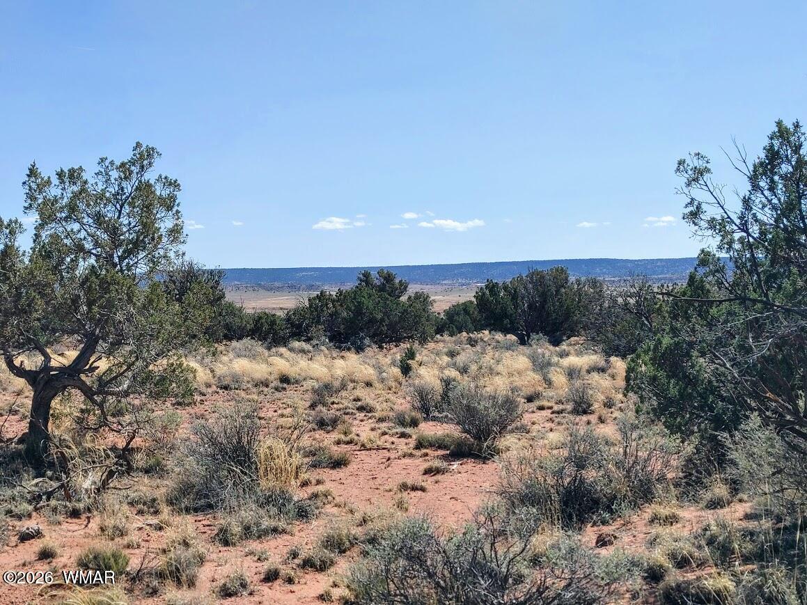 Lot 222 Woodridge Ranch Concho, AZ 85924 - Photo 2 of 14 a view of a dry yard with lots of green space