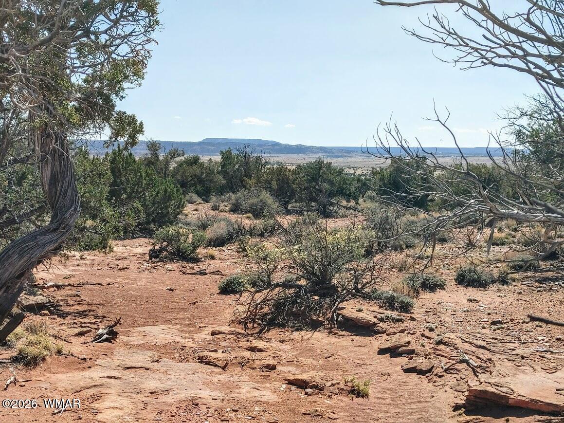 Lot 222 Woodridge Ranch Concho, AZ 85924 - Photo 3 of 14 a view of a dry yard with trees