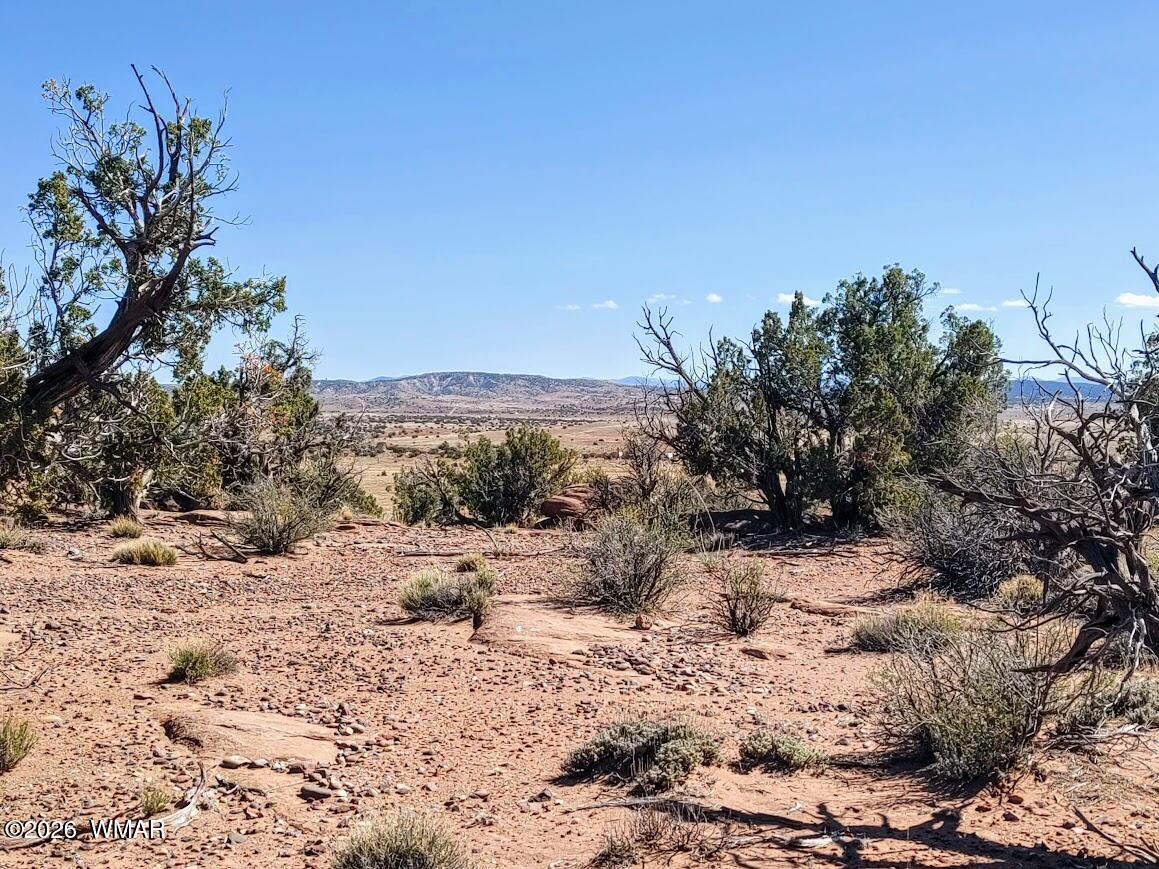 Lot 222 Woodridge Ranch Concho, AZ 85924 - Photo 4 of 14 a view of a dry yard with trees