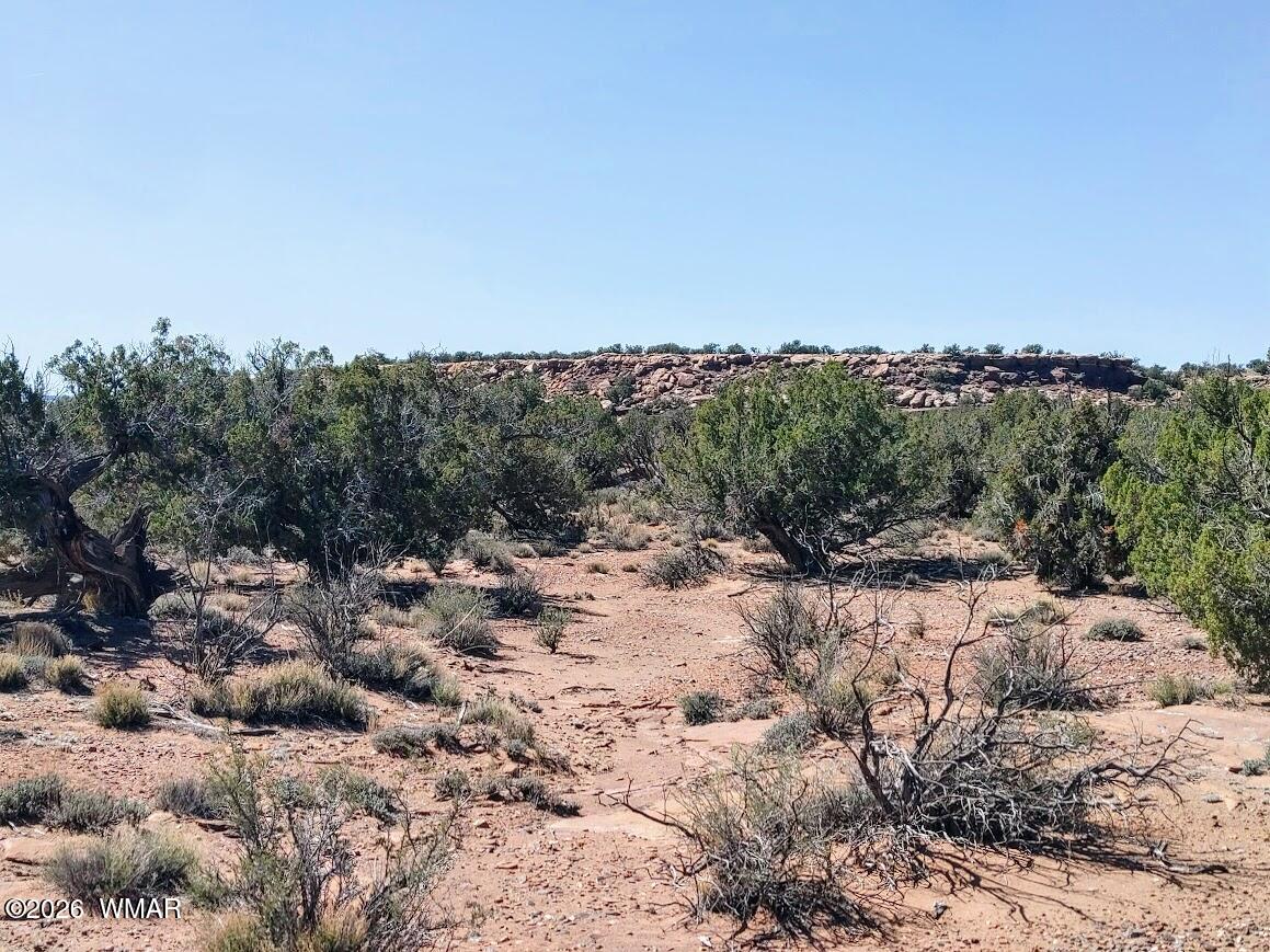 Lot 222 Woodridge Ranch Concho, AZ 85924 - Photo 5 of 14 a view of a dry yard with trees in the background