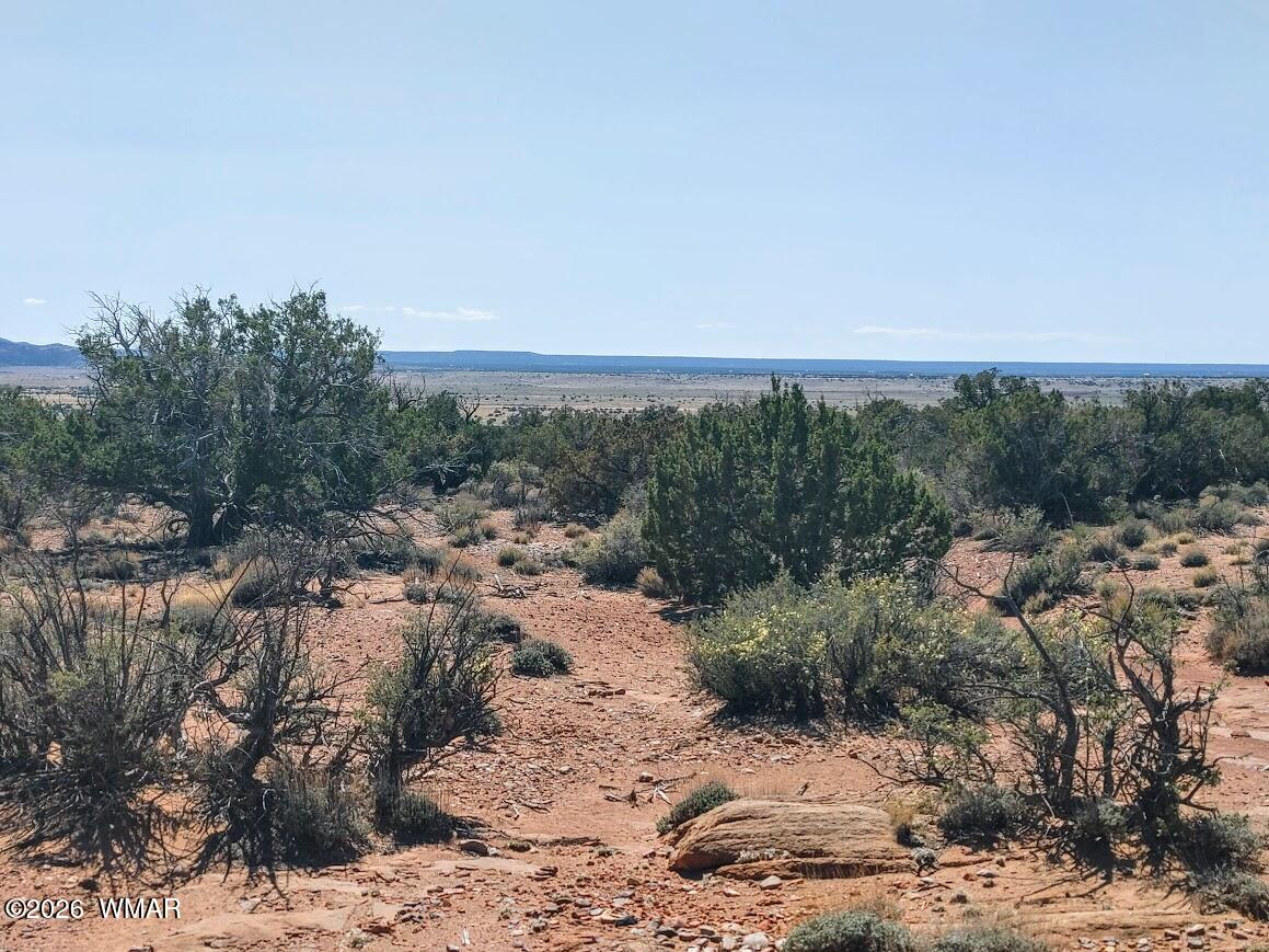 Lot 222 Woodridge Ranch Concho, AZ 85924 - Photo 7 of 14 a view of a dry yard with trees in back