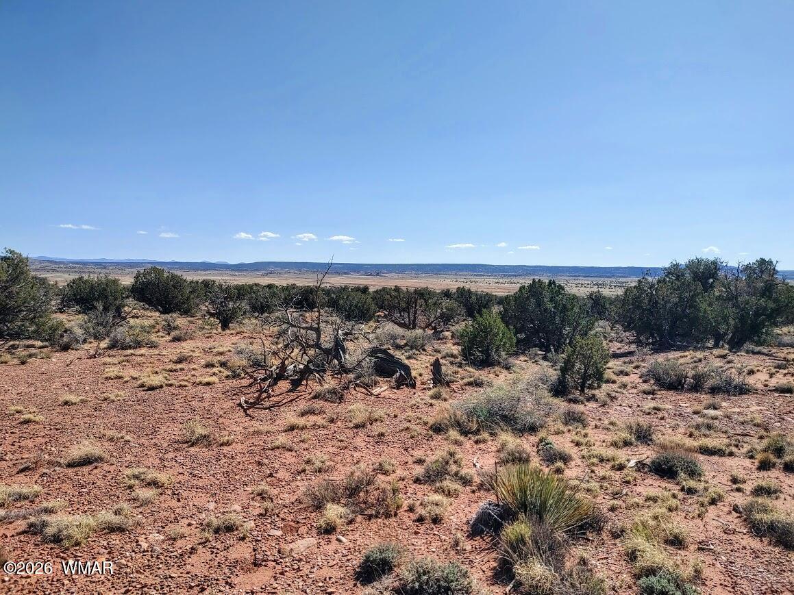 Lot 222 Woodridge Ranch Concho, AZ 85924 - Photo 8 of 14 a view of a dry yard with trees