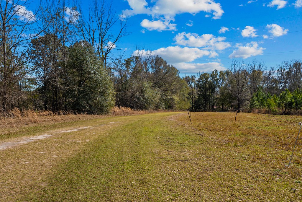 26 Dan Brinson Road Lumpkin, GA 31815 - Photo 21 of 50 Gallery Image 21