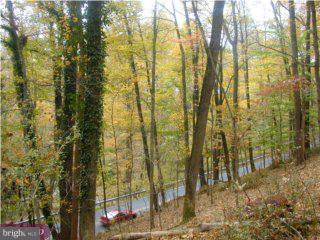 395 River Road Pipersville, PA 18947 - Photo 2 of 6 Gallery Image 2