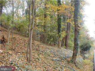 395 River Road Pipersville, PA 18947 - Photo 6 of 6 Gallery Image 6