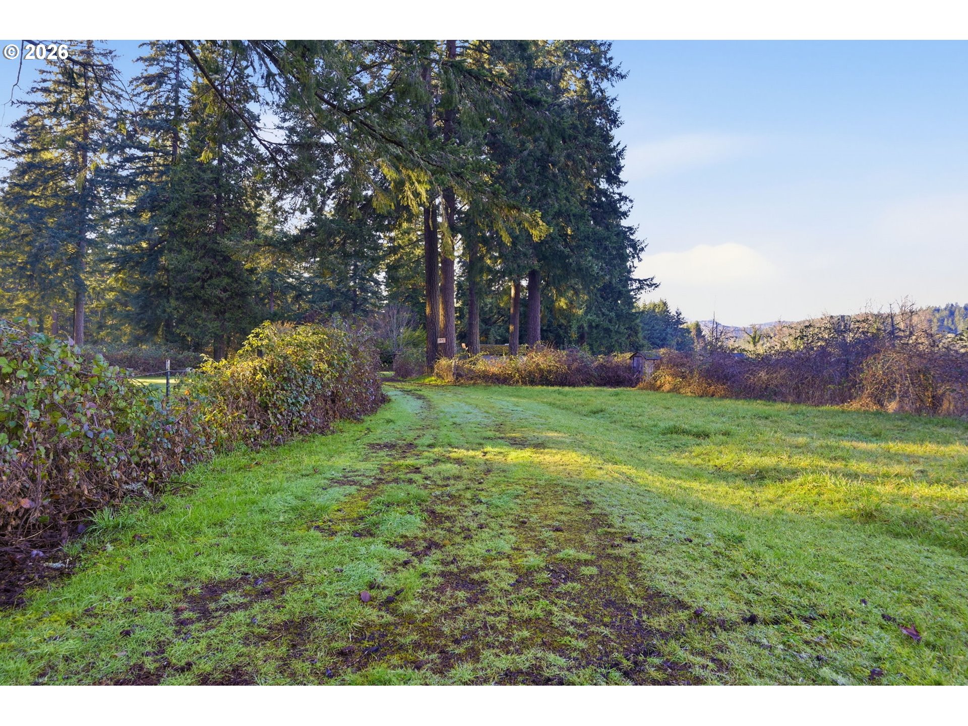 38961 Place Road Fall Creek, OR 97438 - Photo 12 of 28