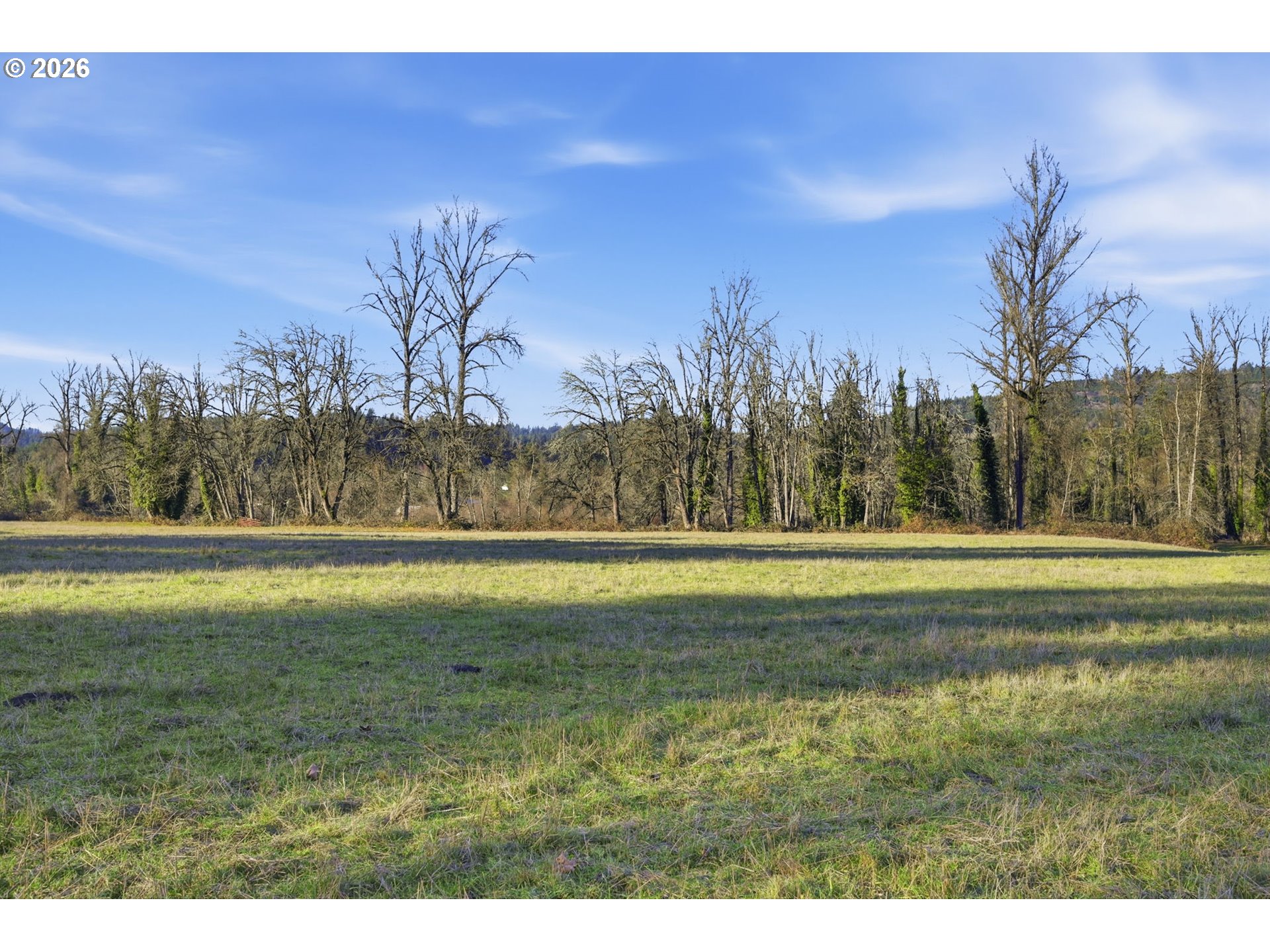 38961 Place Road Fall Creek, OR 97438 - Photo 13 of 28
