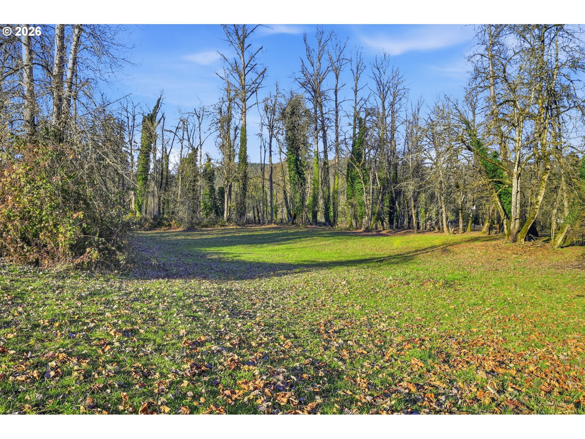 38961 Place Road Fall Creek, OR 97438 - Photo 16 of 28