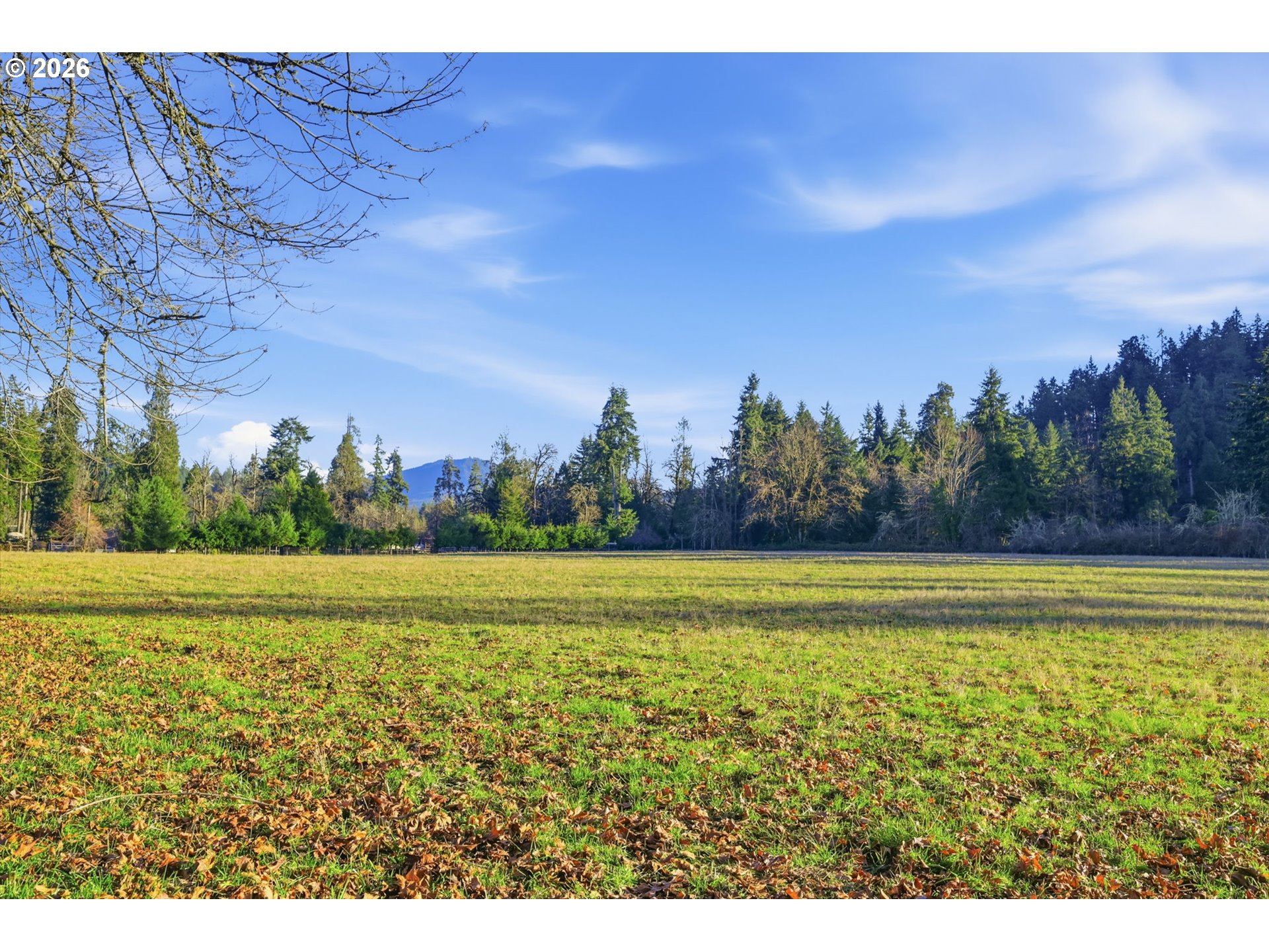 38961 Place Road Fall Creek, OR 97438 - Photo 20 of 28