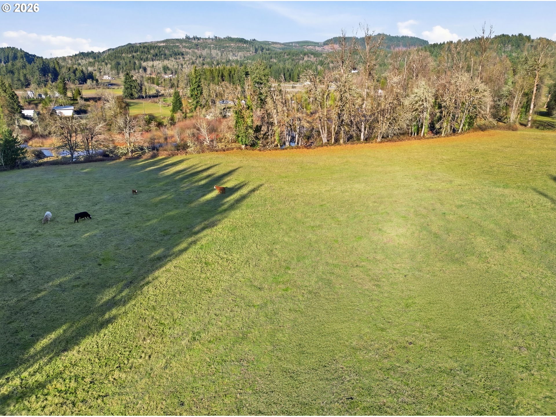 38961 Place Road Fall Creek, OR 97438 - Photo 22 of 28