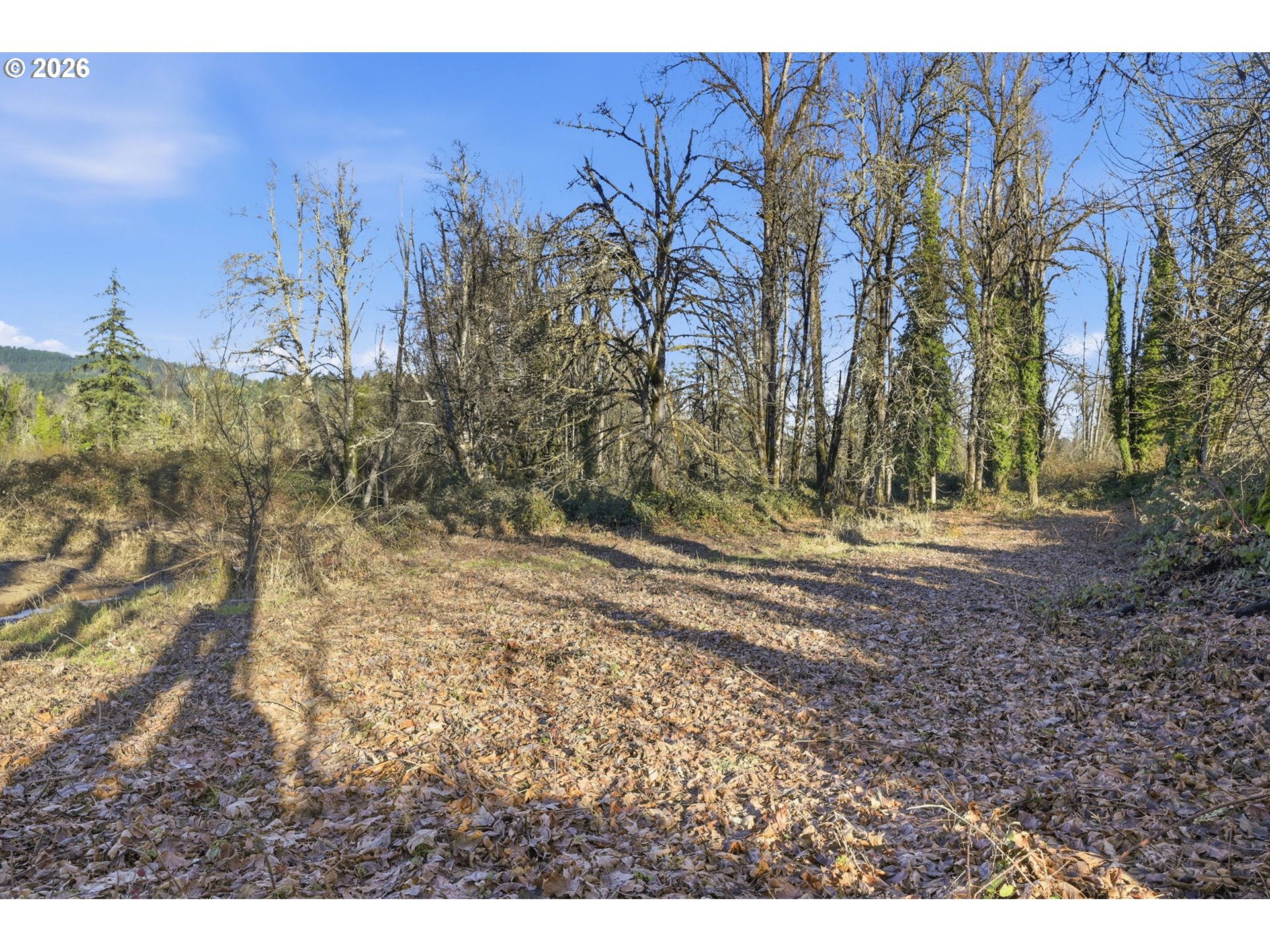 38961 Place Road Fall Creek, OR 97438 - Photo 23 of 28