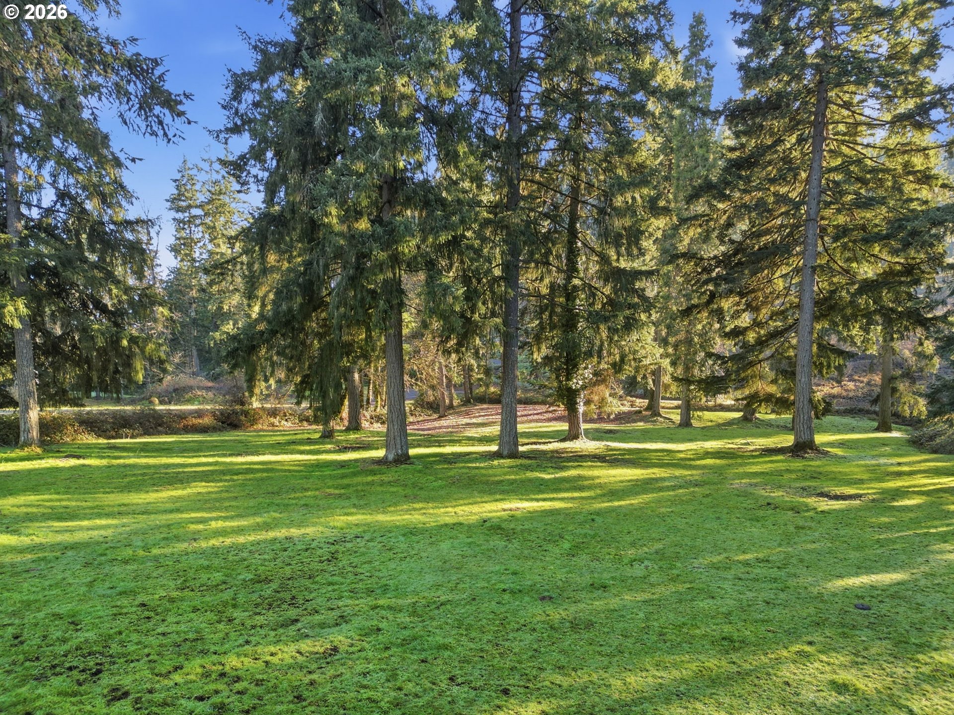 38961 Place Road Fall Creek, OR 97438 - Photo 25 of 28