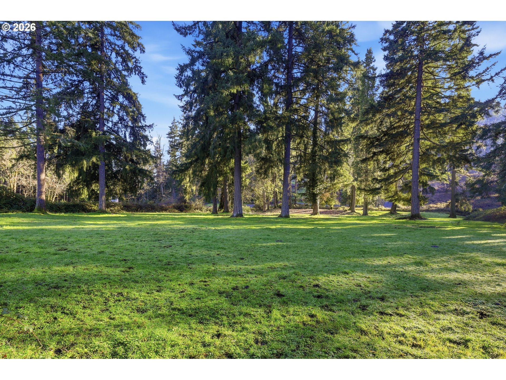 38961 Place Road Fall Creek, OR 97438 - Photo 4 of 28