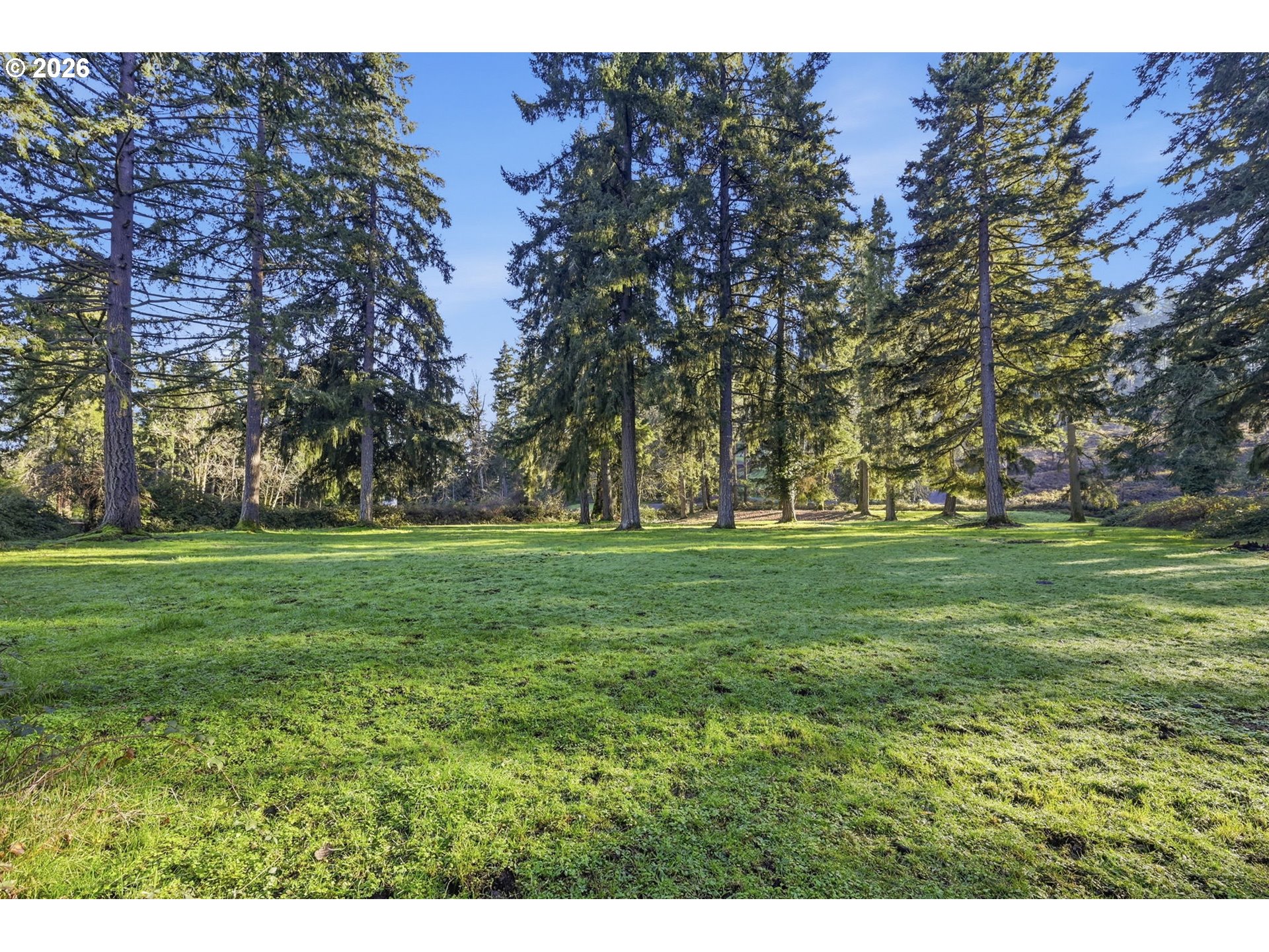 38961 Place Road Fall Creek, OR 97438 - Photo 5 of 28