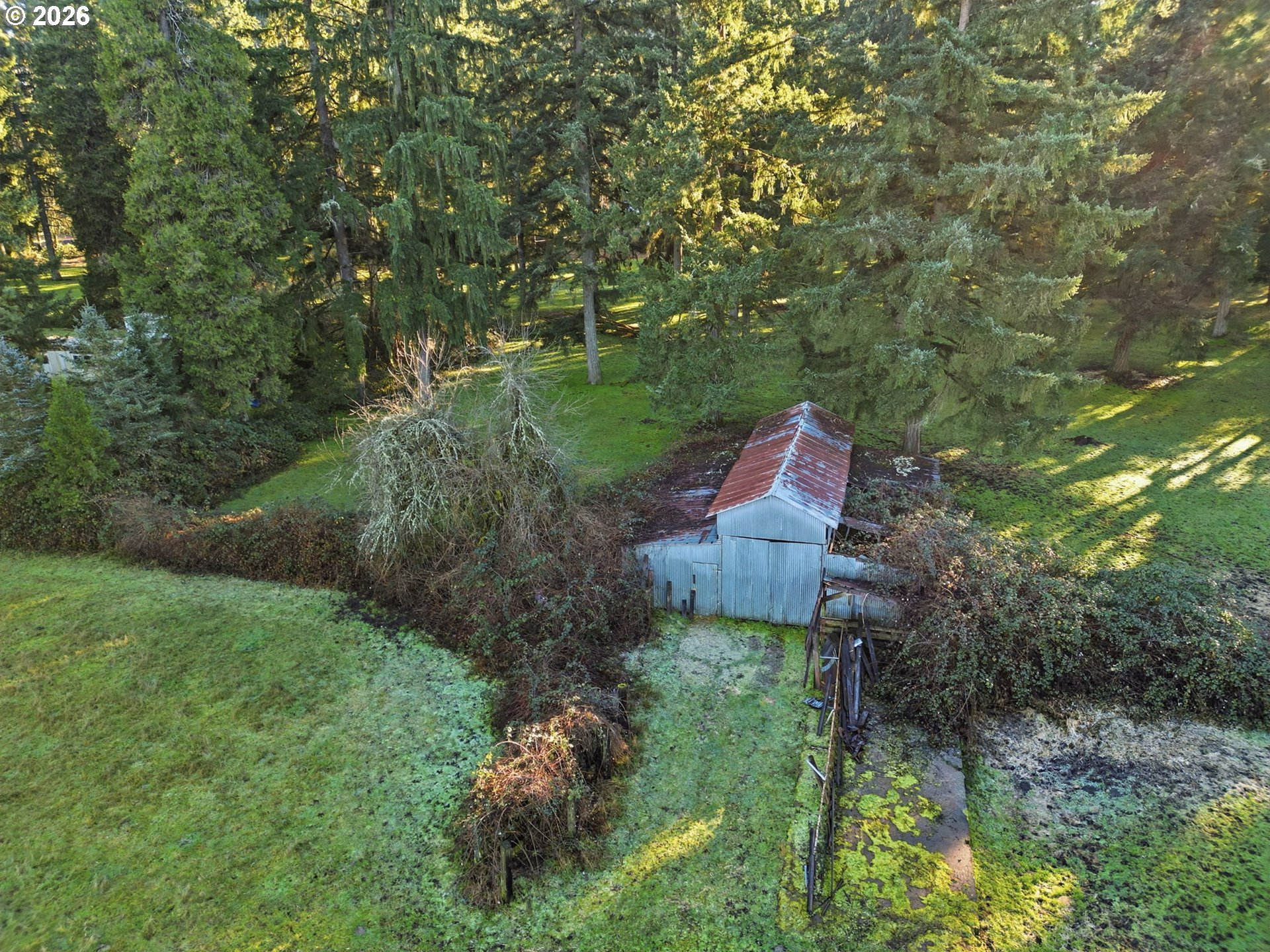 38961 Place Road Fall Creek, OR 97438 - Photo 6 of 28