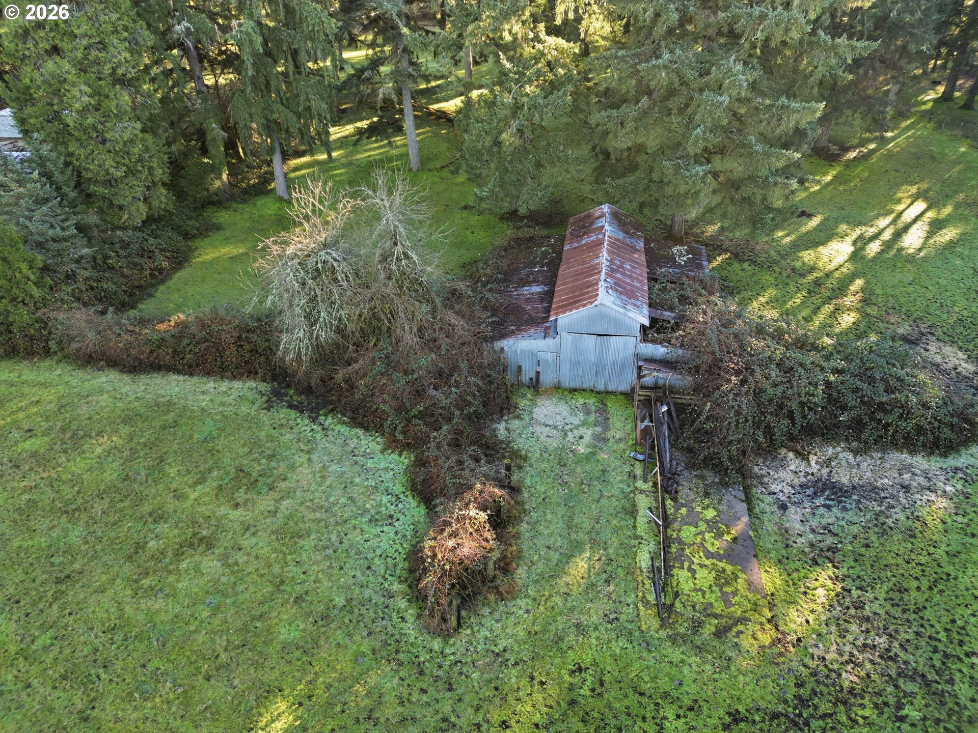38961 Place Road Fall Creek, OR 97438 - Photo 10 of 28