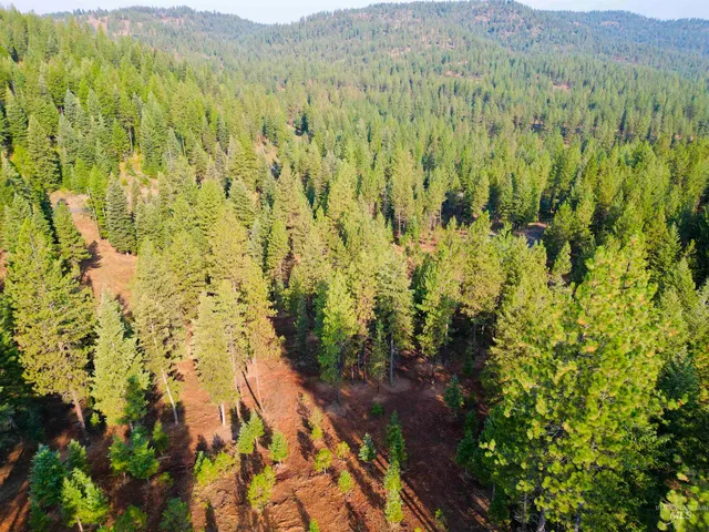 $445,000 | Tbd Pine W Drive, New Meadows, ID 83654