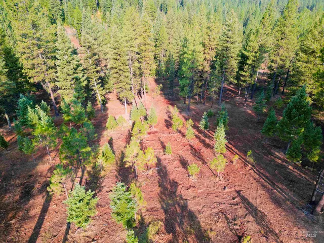 $445,000 | Tbd Pine W Drive, New Meadows, ID 83654