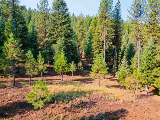 $445,000 | Tbd Pine W Drive, New Meadows, ID 83654