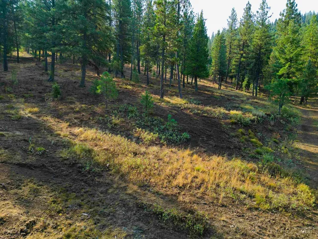 $445,000 | Tbd Pine W Drive, New Meadows, ID 83654
