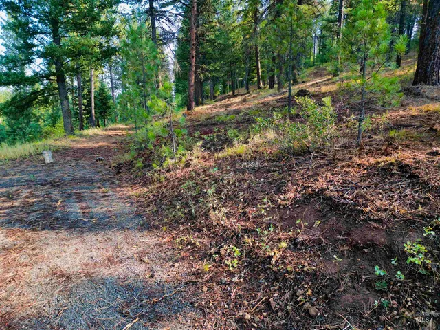 $445,000 | Tbd Pine W Drive, New Meadows, ID 83654