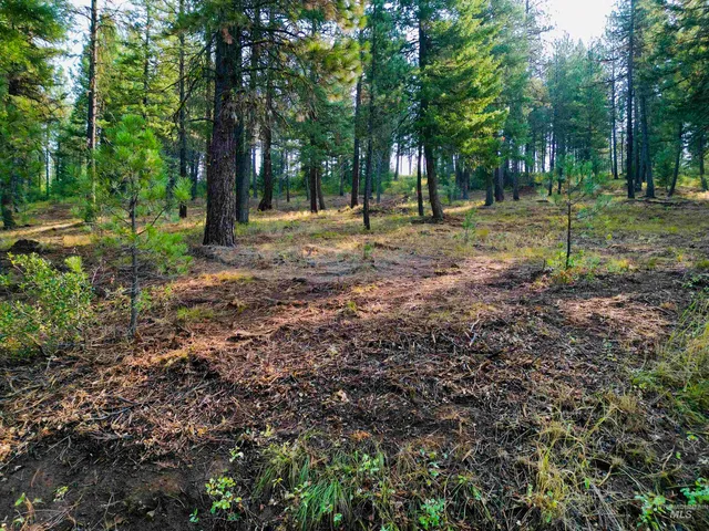 $445,000 | Tbd Pine W Drive, New Meadows, ID 83654