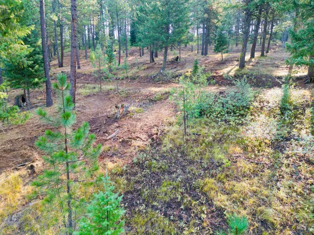 $445,000 | Tbd Pine W Drive, New Meadows, ID 83654