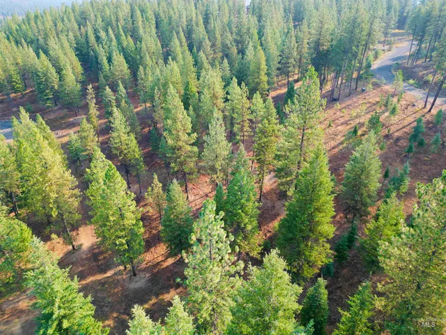 $445,000 | Tbd Pine W Drive, New Meadows, ID 83654