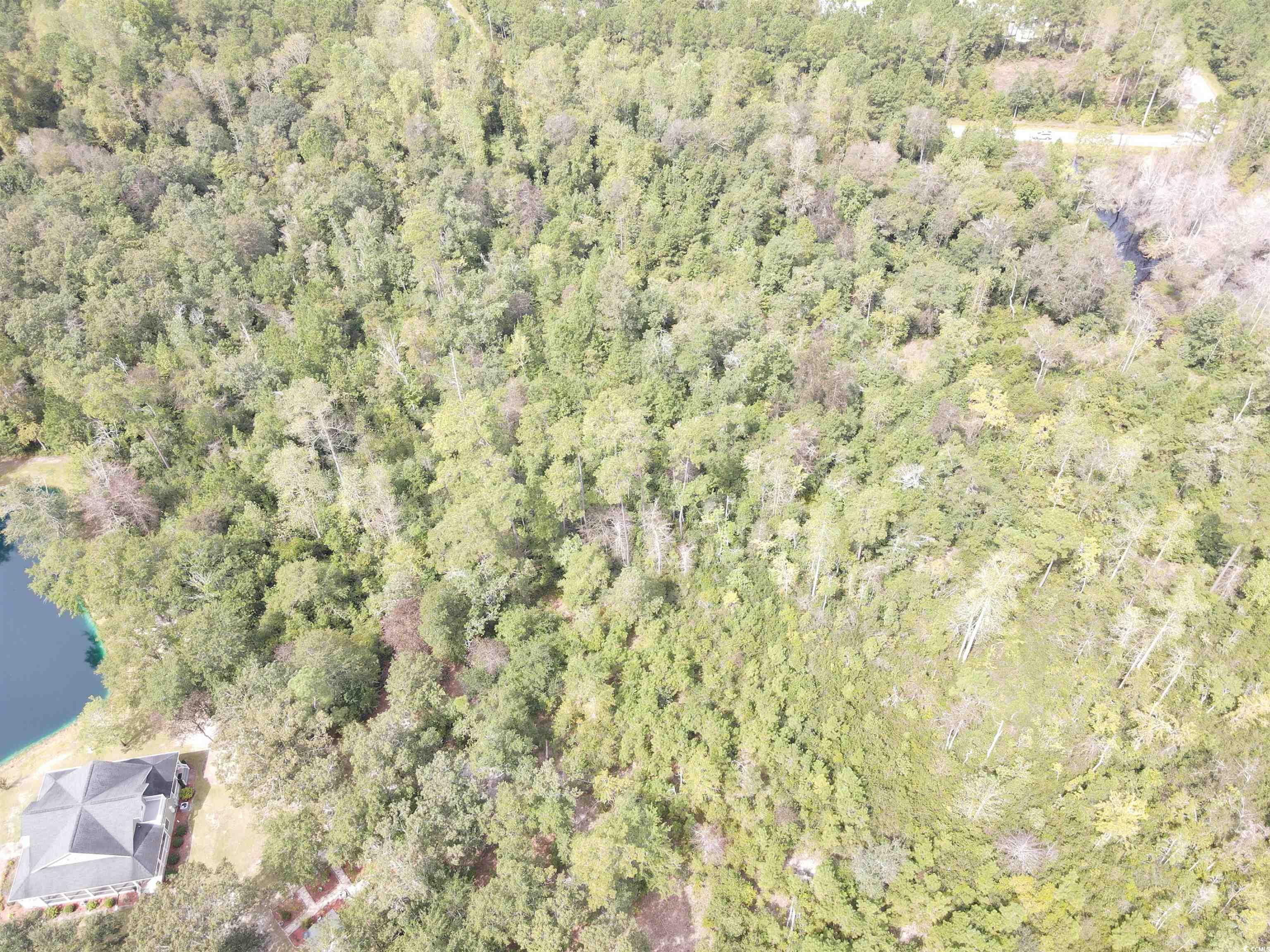 Lot 6 Rainbow Drive Loris, SC 29569 - Photo 10 of 21