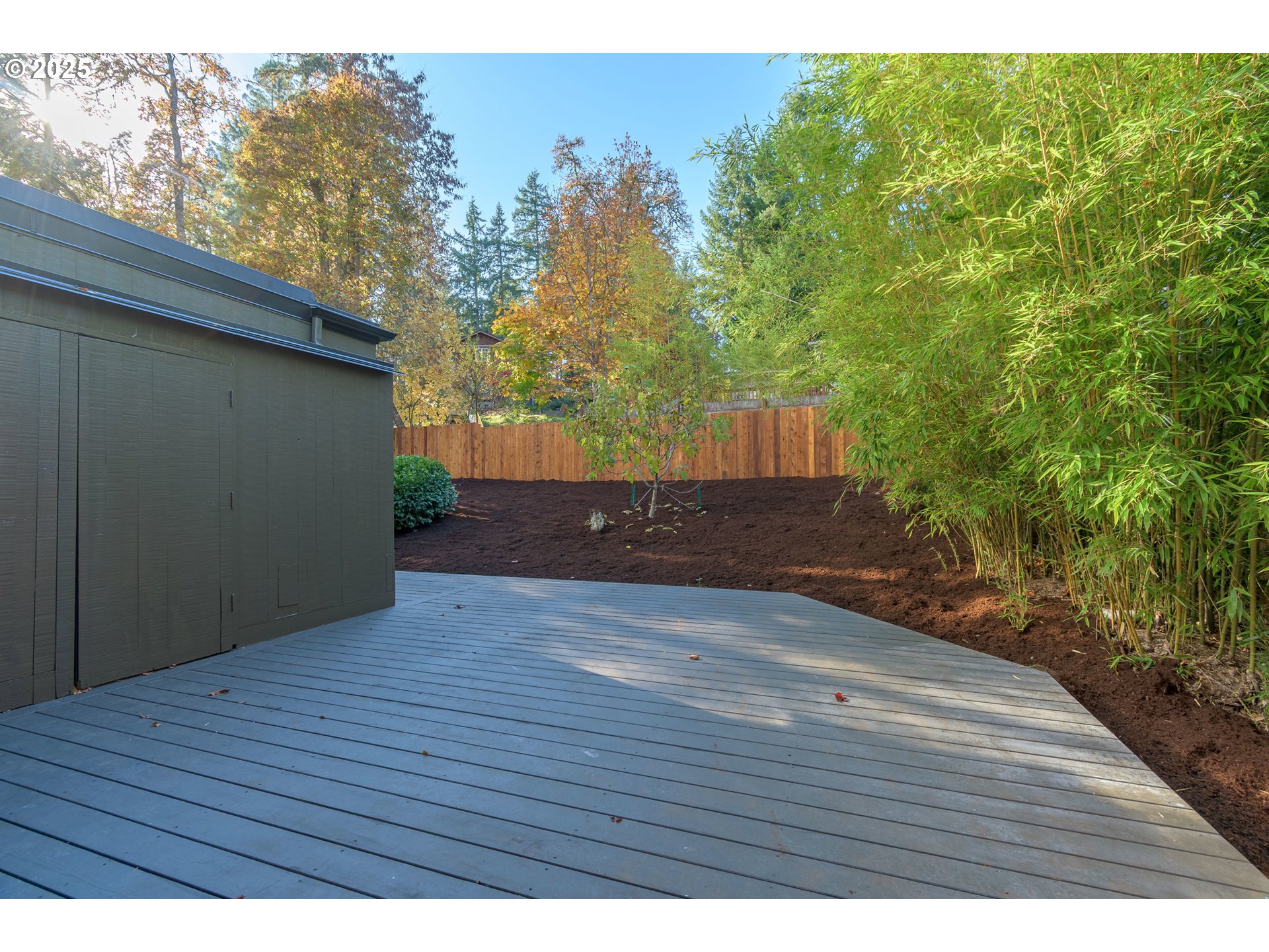 3820 Watkins Lane Eugene, OR 97405 - Photo 17 of 48 a view of backyard and tree