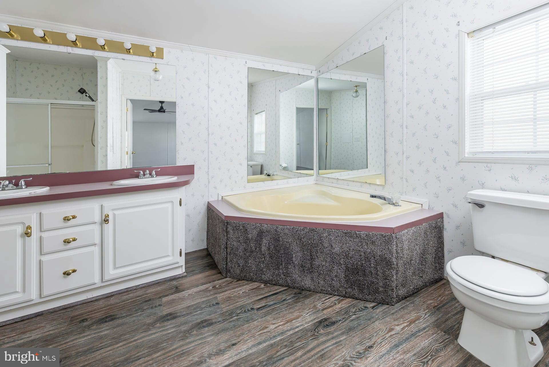 239 Tony Circle Mantua, NJ 08051 - Photo 11 of 24 Master bath Large tub