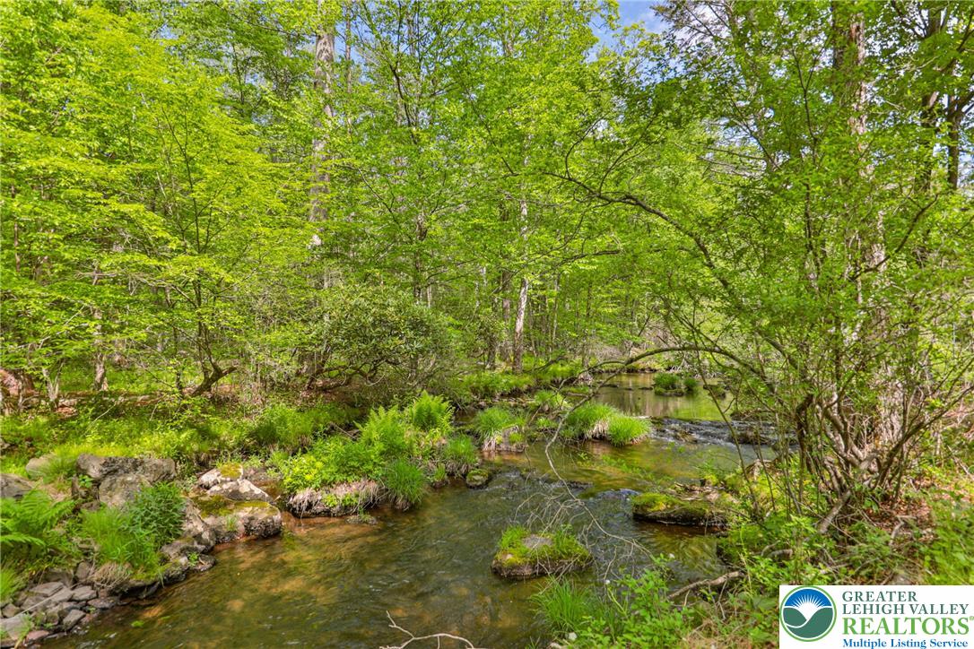 331 Cranberry Creek Road Cresco, PA 18326 - Photo 79 of 95 A tranquil stream meanders through a vibrant, wooded landscape, offering a serene natural escape.