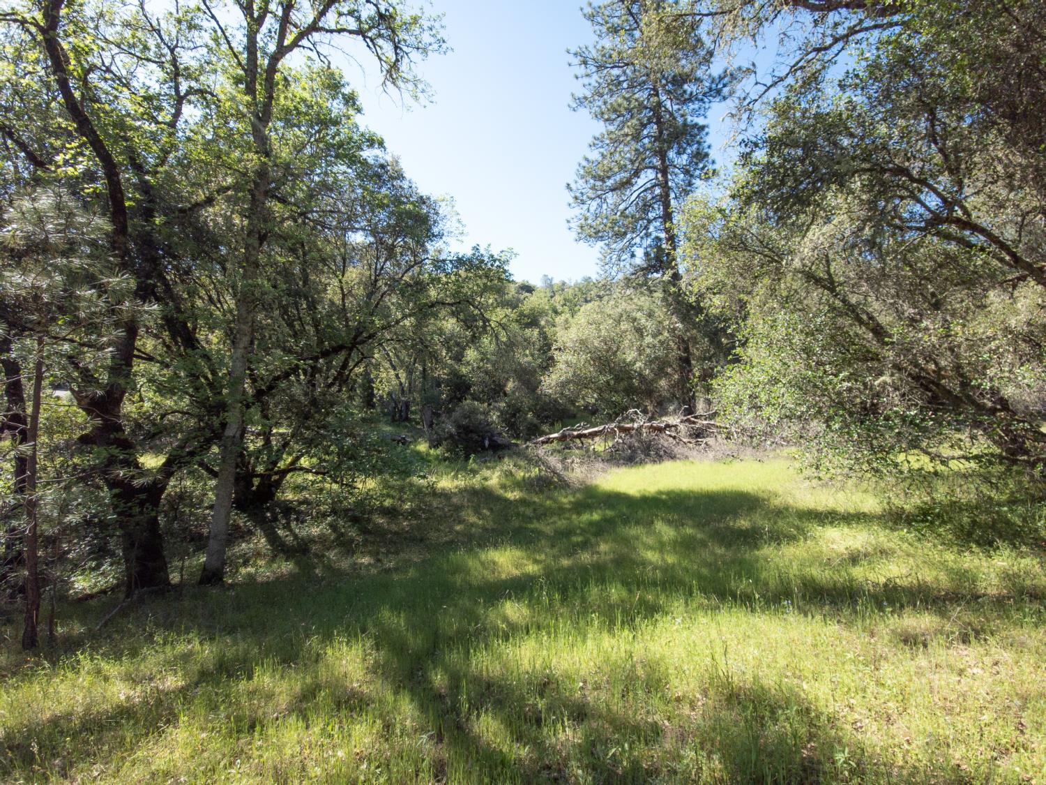 0 Morning Canyon Road Placerville, CA 95667 - Photo 14 of 14 a view of lake background with house