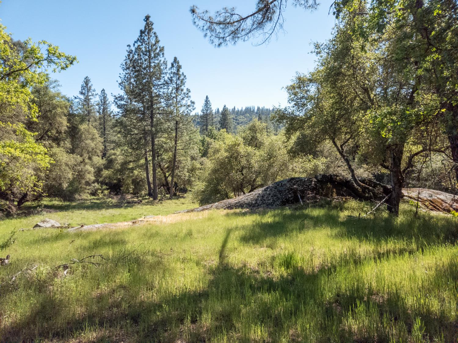 0 Morning Canyon Road Placerville, CA 95667 - Photo 2 of 14 a view of a lake with a yard