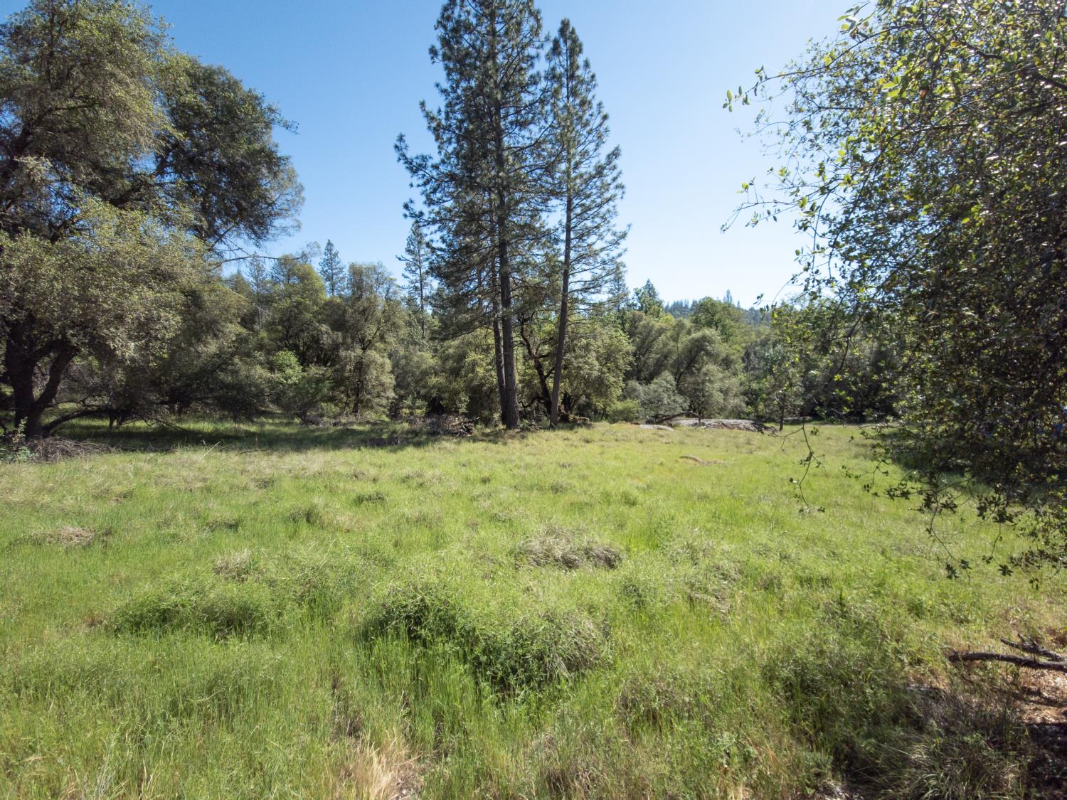 0 Morning Canyon Road Placerville, CA 95667 - Photo 3 of 14 a view of outdoor space and yard