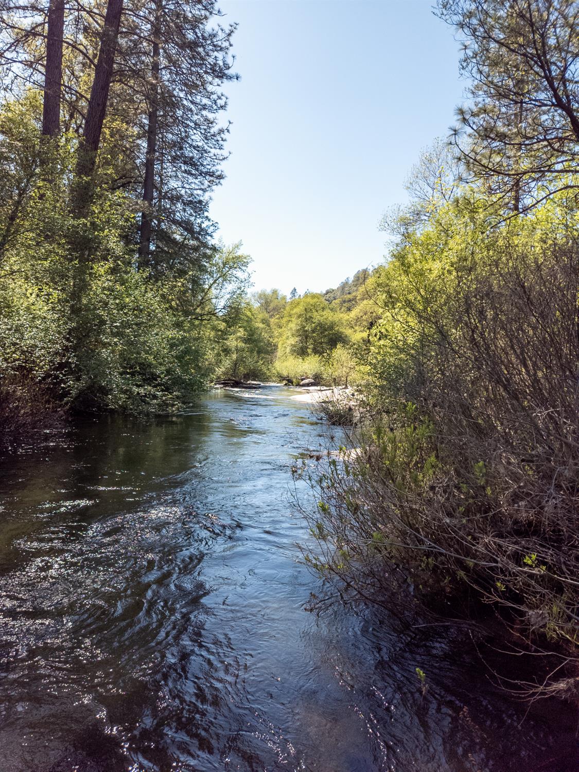 0 Morning Canyon Road Placerville, CA 95667 - Photo 8 of 14 a view of a lake with lots of trees