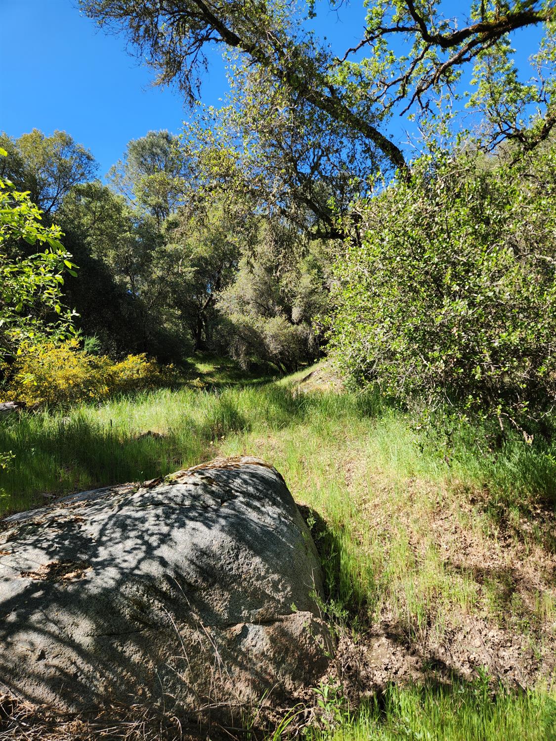 0 Morning Canyon Road Placerville, CA 95667 - Photo 9 of 14 a view of a lake with a yard