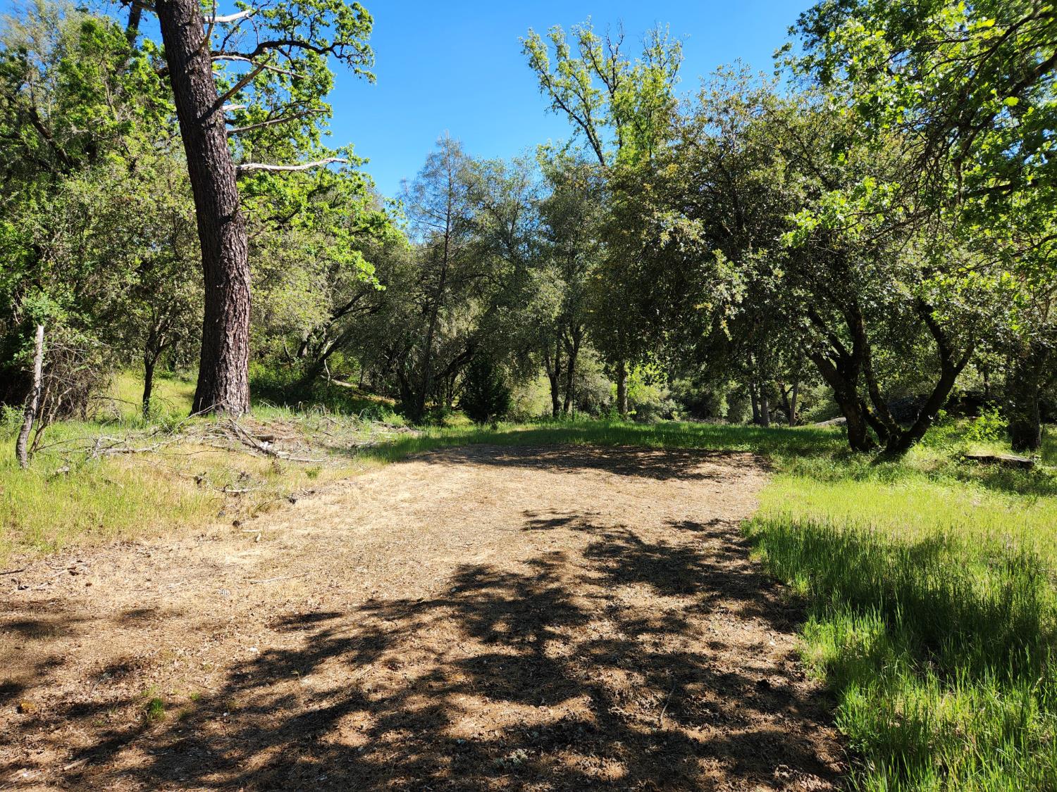 0 Morning Canyon Road Placerville, CA 95667 - Photo 10 of 14 a view of backyard of green space