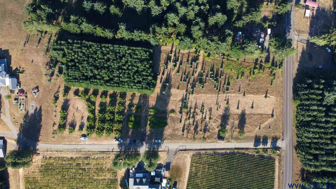 West Larson (lot 18) Road Monroe, OR 97456 - Photo 6 of 21