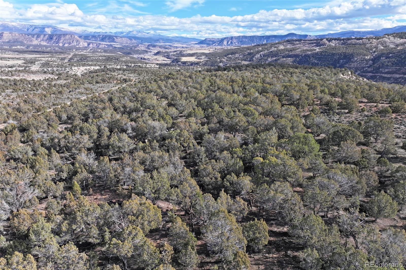 0 To Be Determined De Beque, CO 81630 - Photo 16 of 20 a view of a dry yard