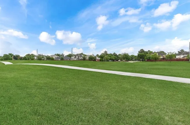 a view of a big yard with a large trees